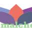 hemalchem.com favicon