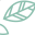 natuurlijk-bloemen.nl favicon