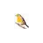 petirrojo.com favicon
