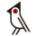 bobobird.com favicon
