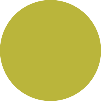 lowenrings.com favicon