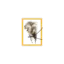 luxuryescapesafaris.com favicon
