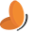 rashintravel.com favicon