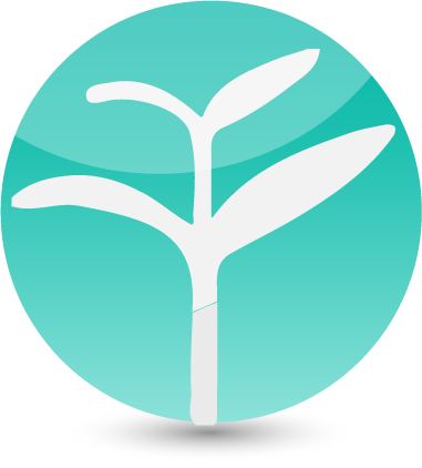 yoyochinese.com favicon