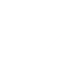 cleverbrain.in favicon