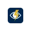 flashvig.com favicon
