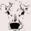 Slagterlindhardt favicon