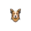 armydogcenters.pk favicon
