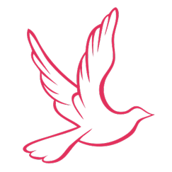 bonafair.com favicon