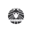 brazilini.com favicon