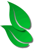 breezesupport.co.uk favicon