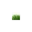 pratisempreverde.com favicon