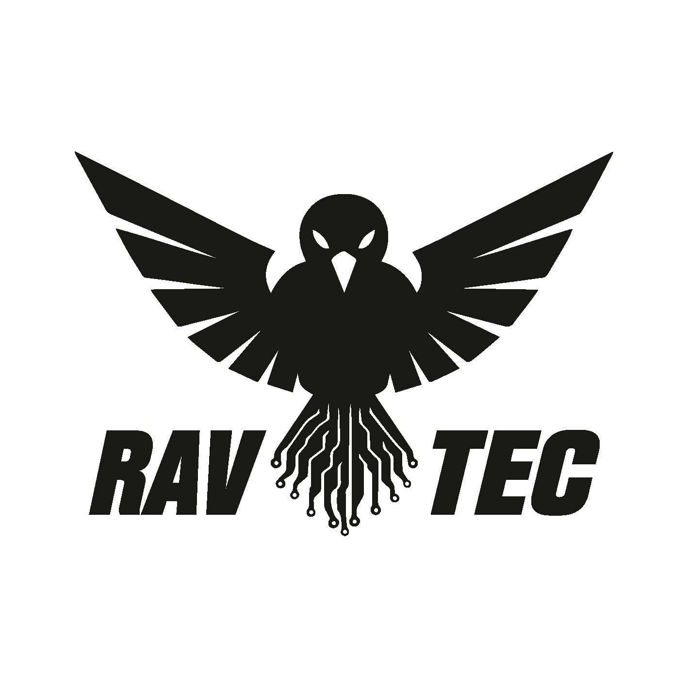 ravtec.net favicon