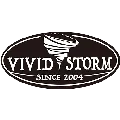 vividstorm.ca favicon