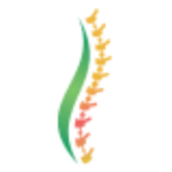 arialief.com favicon