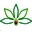 avocadobio.com favicon