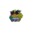 blackfishmarine.co.uk favicon