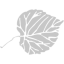 elindco.dk favicon