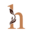 hedclinic.com favicon