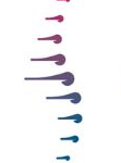 tuanchiropractie.nl favicon