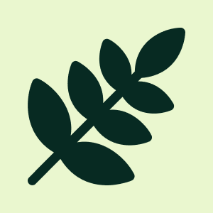 vigorana.com favicon