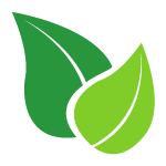 wiserwellness.com favicon