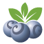 blueberrywealth.co.uk favicon