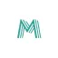 masters-sp.com favicon