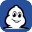 michelin.com favicon