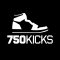 750kicks.nl favicon
