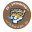 dfswimmingteam.com favicon