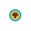 fnb.co.za favicon
