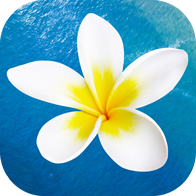 hawaiiactivities.com favicon