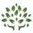 rawfoodshop.dk favicon