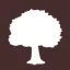 shop.bigtreeshoes.com favicon