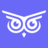 brandwise.ai favicon