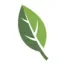 naturallyfreeinc.com favicon