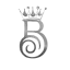 bashiir.com favicon