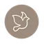 birkeroedbegravelser.dk favicon
