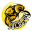 coinsmarkets.io favicon