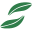 neolifemuenchen.de favicon