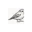 phugl.dk favicon