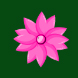 dahliastore.com favicon