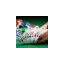 recentpoker.com favicon