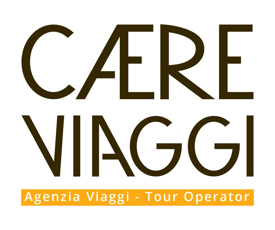 stage.caereviaggi.com favicon