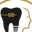 veskedent.com favicon