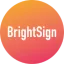 brightsignglove.com favicon
