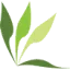pieces-acer.com favicon