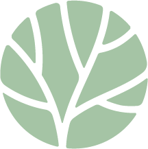 beukmeubels.nl favicon