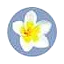 creoletravelservices.com favicon